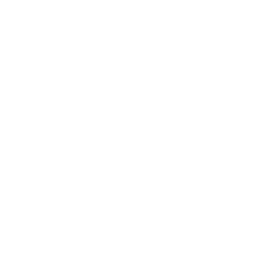 Asesoría Técnica